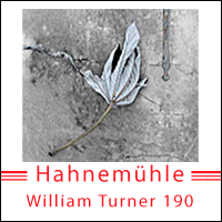 William Turner 190