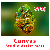 Canvas studioArtist matt 390