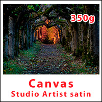Canvas studioArtist satin 350
