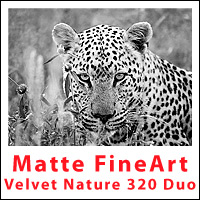Velvet Nature 320 DUO