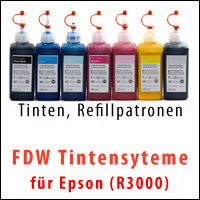 FDW-Systeme für R3000