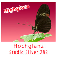 studioSilver 255