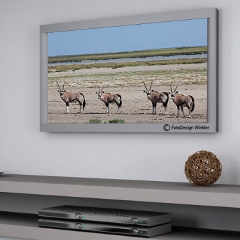 Pigmentdruck  im Format 20x60 cm