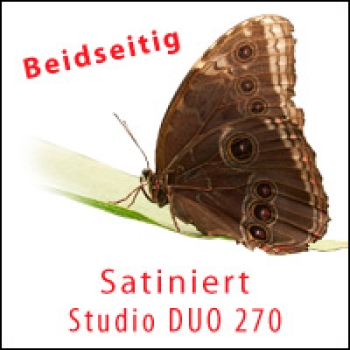 Studio DUO 250, A4, 10 Blatt