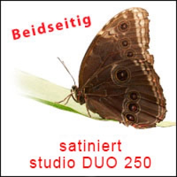 studioDUO 250g, A3, 50 Blatt