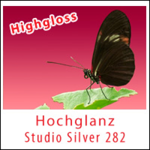 Studio Silver 255, A3+, 200 Blatt