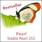 studio Pearl 255g, A4, 50 Blatt
